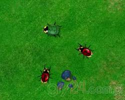Beetle Wars - Żuczek