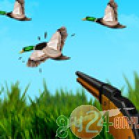 Duck Hunter - Polowanie na Kaczki