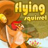 Flying Squirrel - Latające Wiewiórki