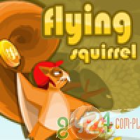 Flying Squirrel - Latające Wiewiórki