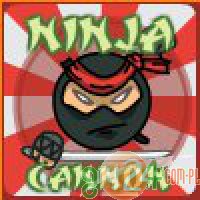 Ninja Cannon - Armata Ninja