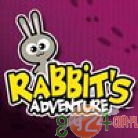Rabbits Adventure - Przygody Królika